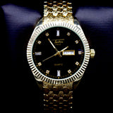 Newton Watch II